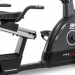 Bicicleta Reclinada BH TFR Ergo