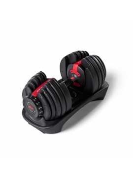 Haltere ajustável de 2 a 24 kg (1 unidade) - BowFlex