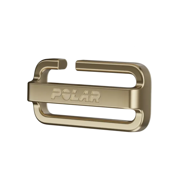 Fivela POLAR Loop