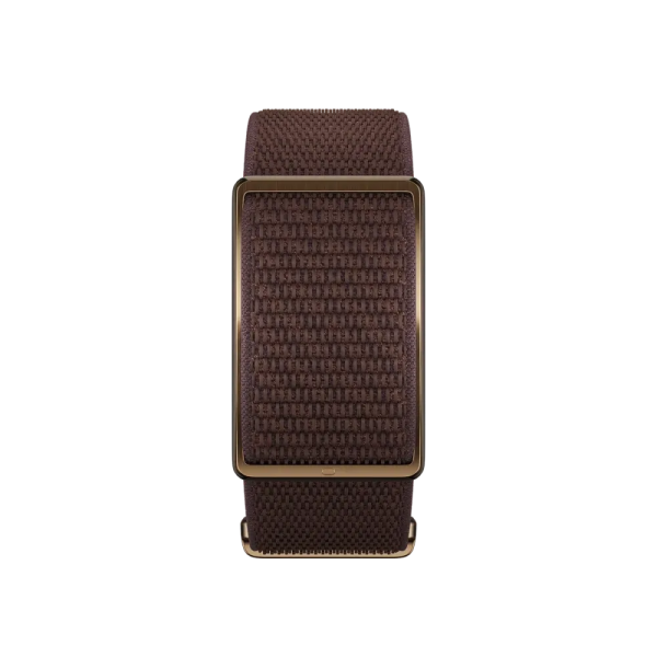 Monitor POLAR Loop Castanho