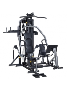 Máquina de musculação TORUS 5 - Horizon Fitness