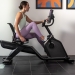 Schwinn 590R recumbent bike