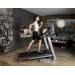 Foldable treadmill BH Pioneer R9