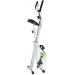 Bicicleta estática dobrável BH EasyX