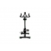 Bicicleta Bodytone DS06