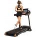 Passadeira dobrável Bodytone DT22W