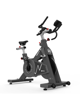 Bicicleta Bodytone WT1