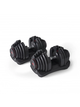 Adjustable Dumbbells 4 to 41 Kg (1 pair) - Bowflex