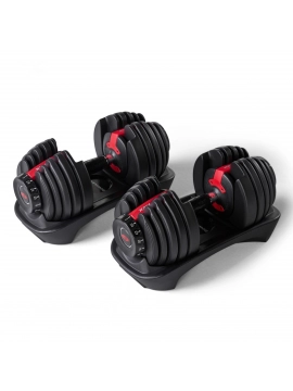 Halteres ajustáveis de 2 a 24 kg (1 par) - Bowflex