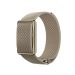 Monitor POLAR Loop Areia
