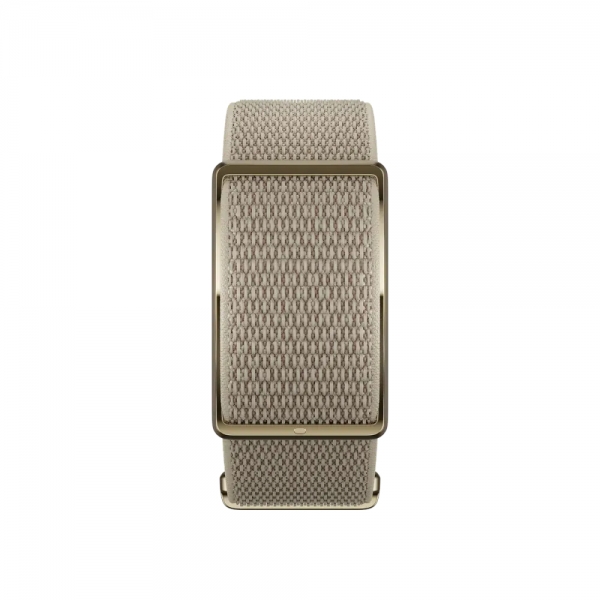 Monitor POLAR Loop Areia