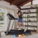 Passadeira dobrável SFT 4.1 - Schwinn