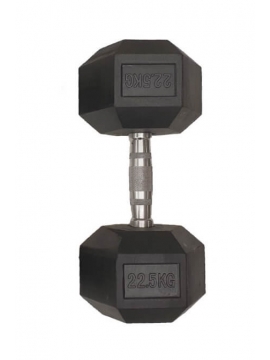 Haltere TOORX - 22.5 KG