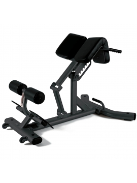 Banco profissional para lombar Toorx WBX-2600
