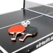 Mesa de ténis de mesa VirtuFit Mini TT160